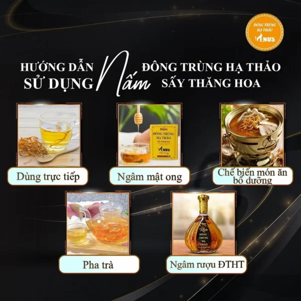 Hộp quà tặng rượu nấm đông trùng hạ thảo Venus 500ml - Hình ảnh 5