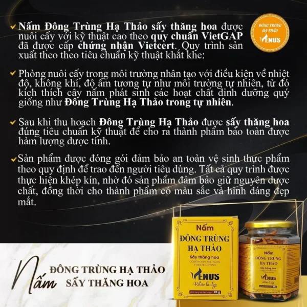 Hộp quà tặng rượu nấm đông trùng hạ thảo Venus 500ml - Hình ảnh 6