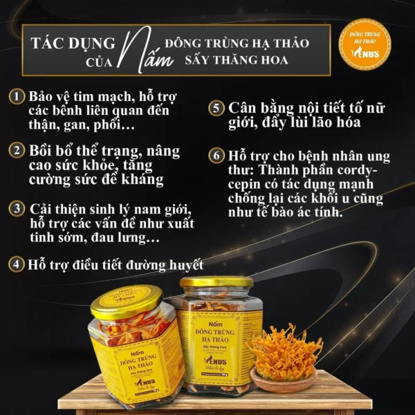 Hộp quà tặng rượu nấm đông trùng hạ thảo Venus 500ml - Hình ảnh 4